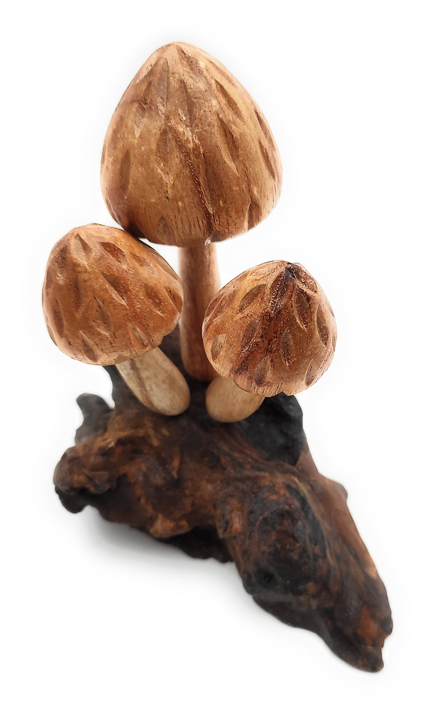 Morels Mushroom Small