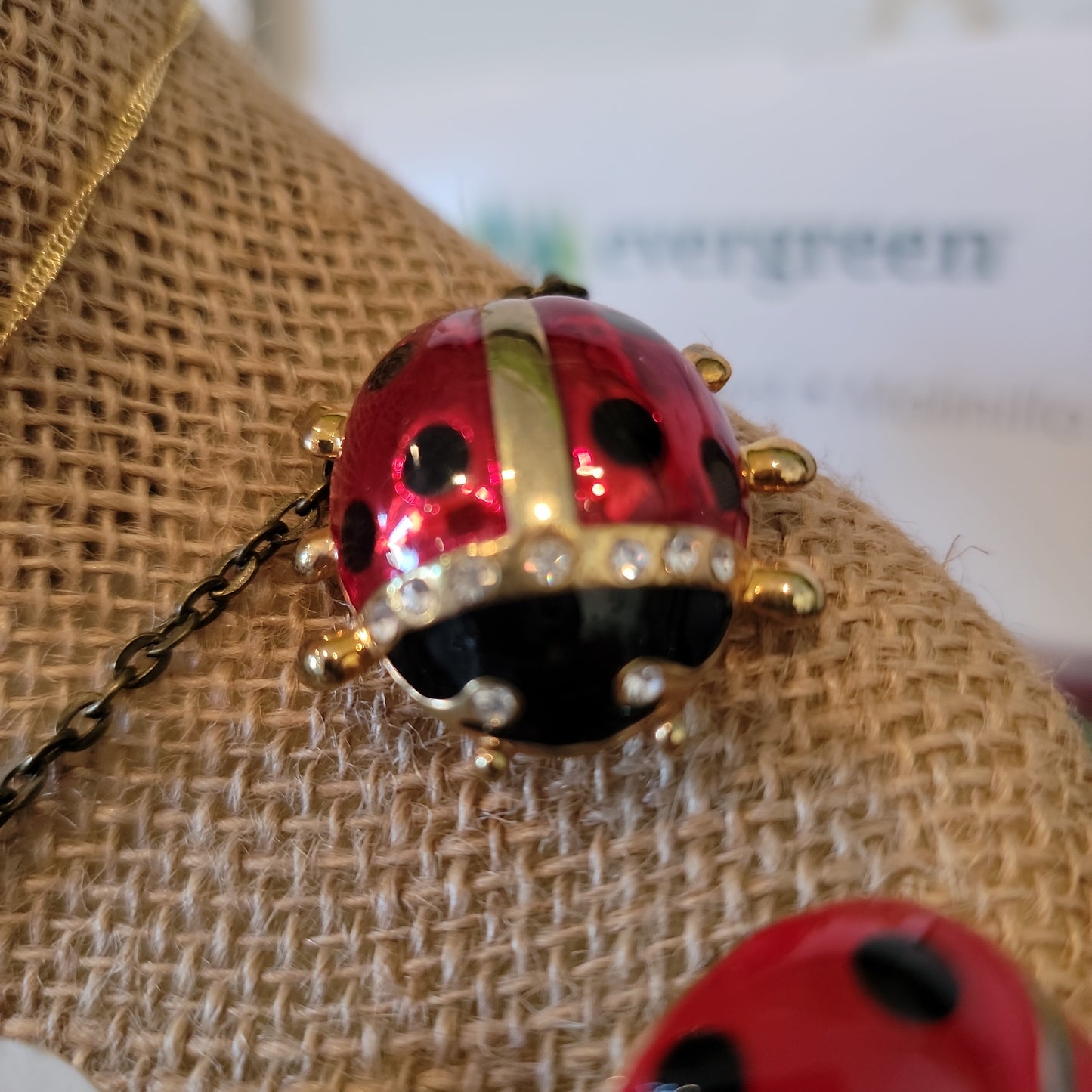 Ladybug Pins