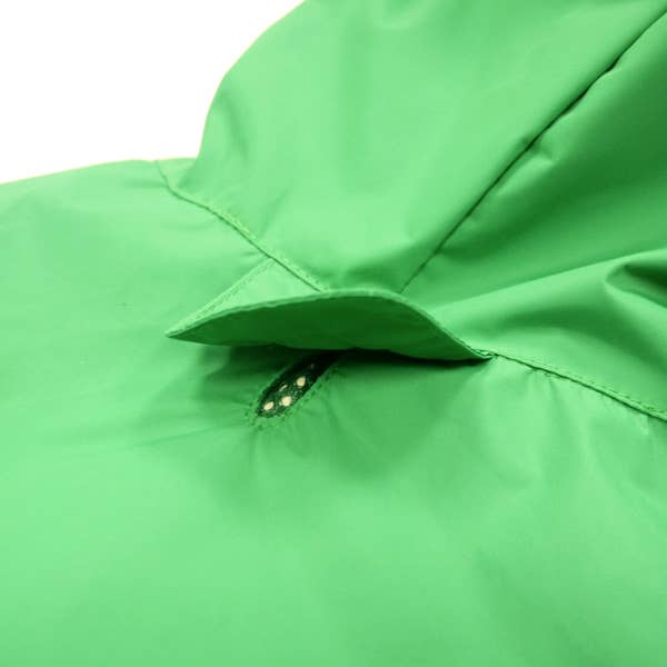 Puppy or Small Dog Frog Raincoat