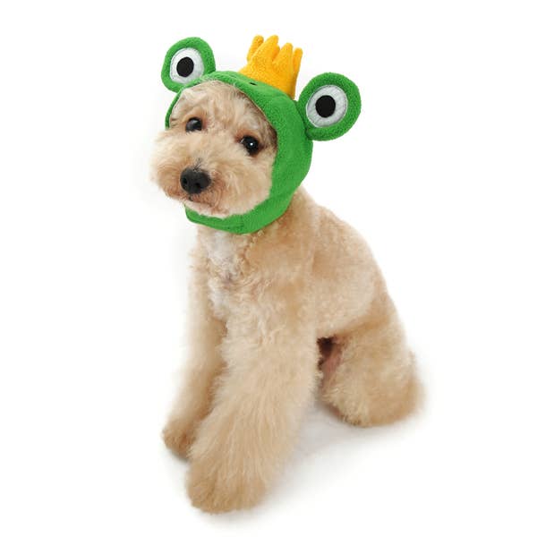 For Pets: Prince Frog Hat