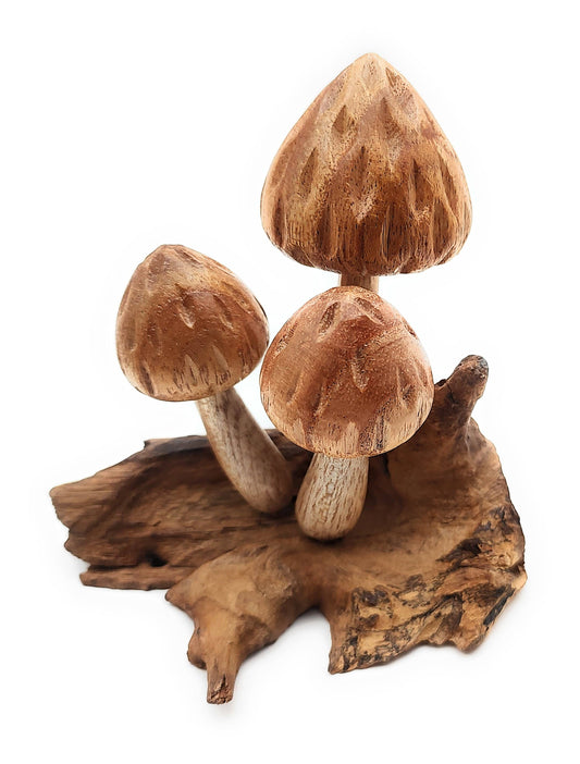Morels Mushroom Small