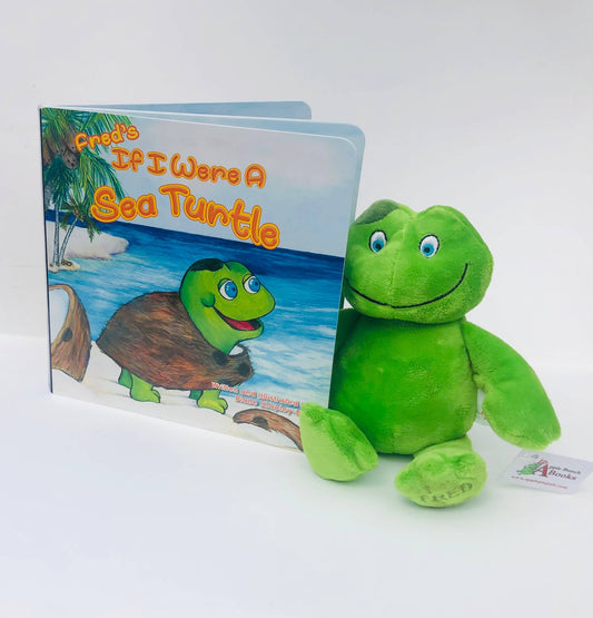 Baby Sea Turtle Book