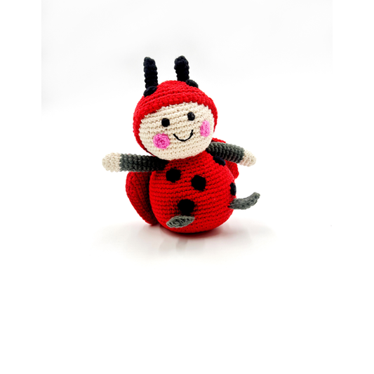 Ladybug rattle
