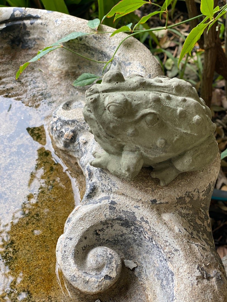 Concrete Bullfrog Garden Statue