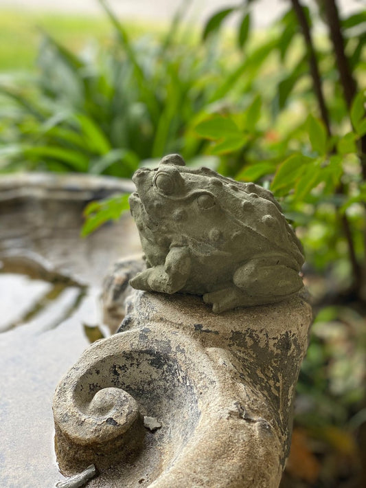 Concrete Bullfrog Garden Statue